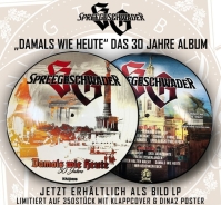 Spreegeschwader – Damals wie Heute - Picture LP