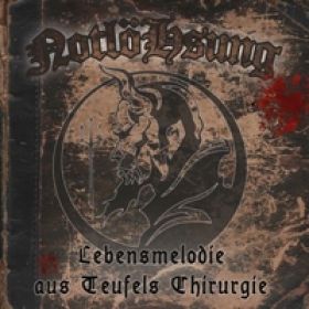 NotlöHsung -Lebensmelodie aus Teufels Chirurgie- +++EINZELSTÜCK+++ NotlöHsung -Lebensmelodie aus Teufels Chirurgie- +++EINZELSTÜCK+++
